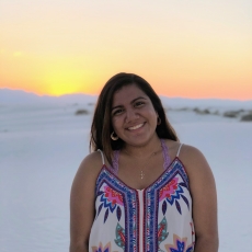 Esperanza Hernandez sunset sand